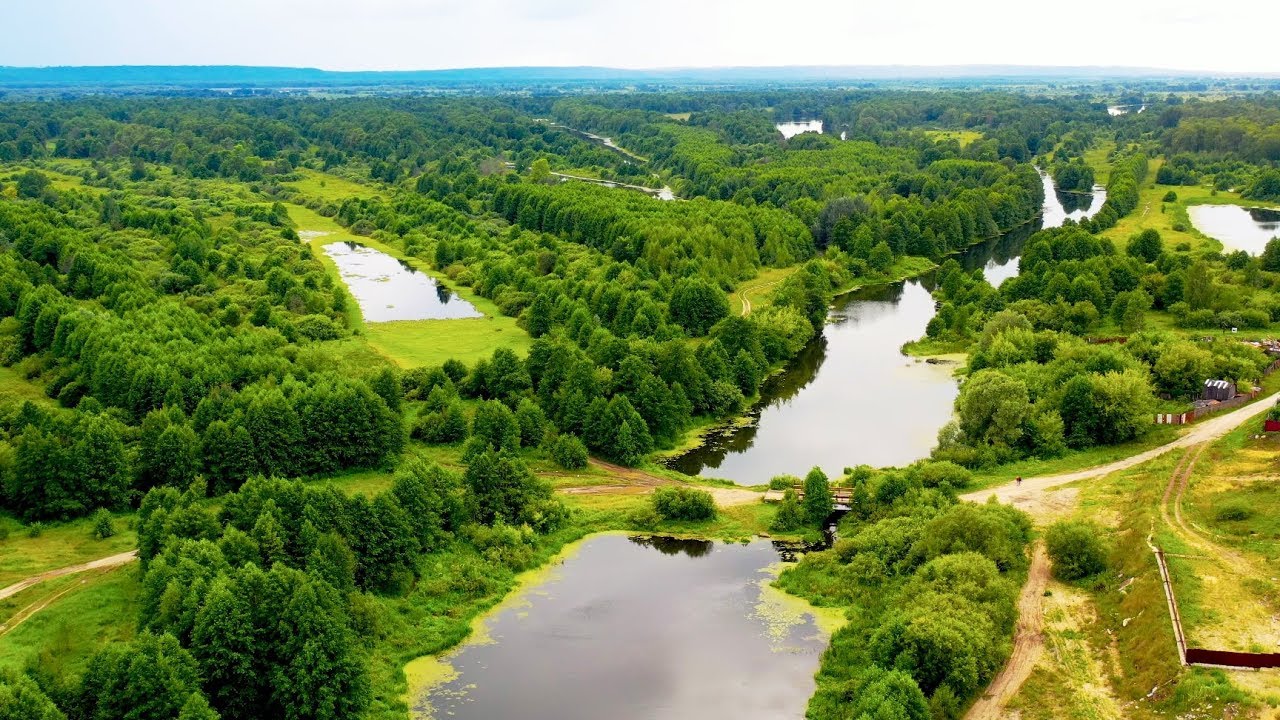 панорамный вид с высоты полета дрона над лесом и полем