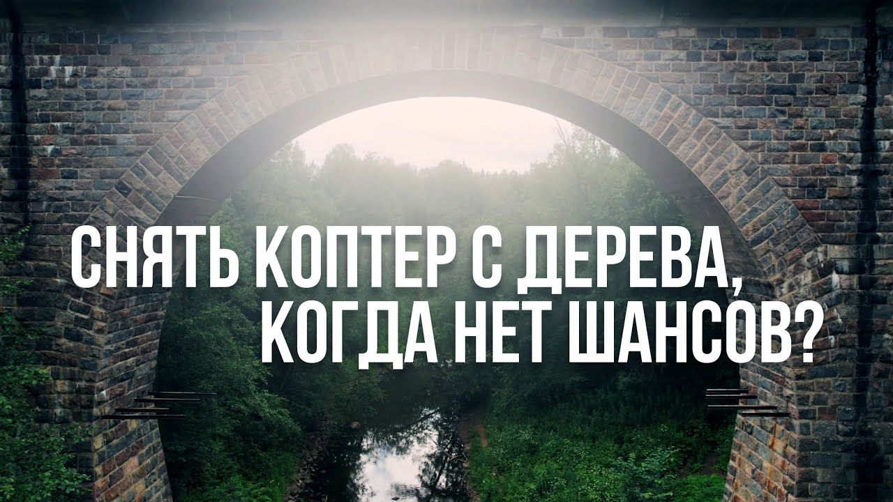 квадрокоптер застрял на ветке дерева