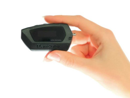 Брелок Pandora D-010