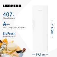 Однокамерный холодильник Liebherr RBd 5250-20 001 белая