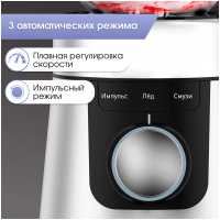 Блендер стационарный Zigmund &amp; Shtain BS-447 D