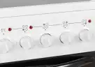 Электроплита Лысьва EF4011MK00 (ЭПС 411 МС) белая, ветка дерева В