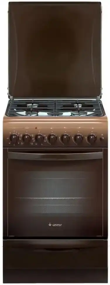 Комбинированная плита Gefest ПГЭ 5102-02 0001
