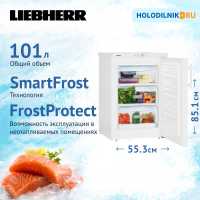 Морозильник Liebherr Gbe 1213-21 FrostProtect