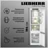Встраиваемый двухкамерный холодильник Liebherr ICBNSd 5623-20 001 BioFresh NoFrost XL