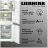 Встраиваемый двухкамерный холодильник Liebherr ICBNSd 5623-20 001 BioFresh NoFrost XL
