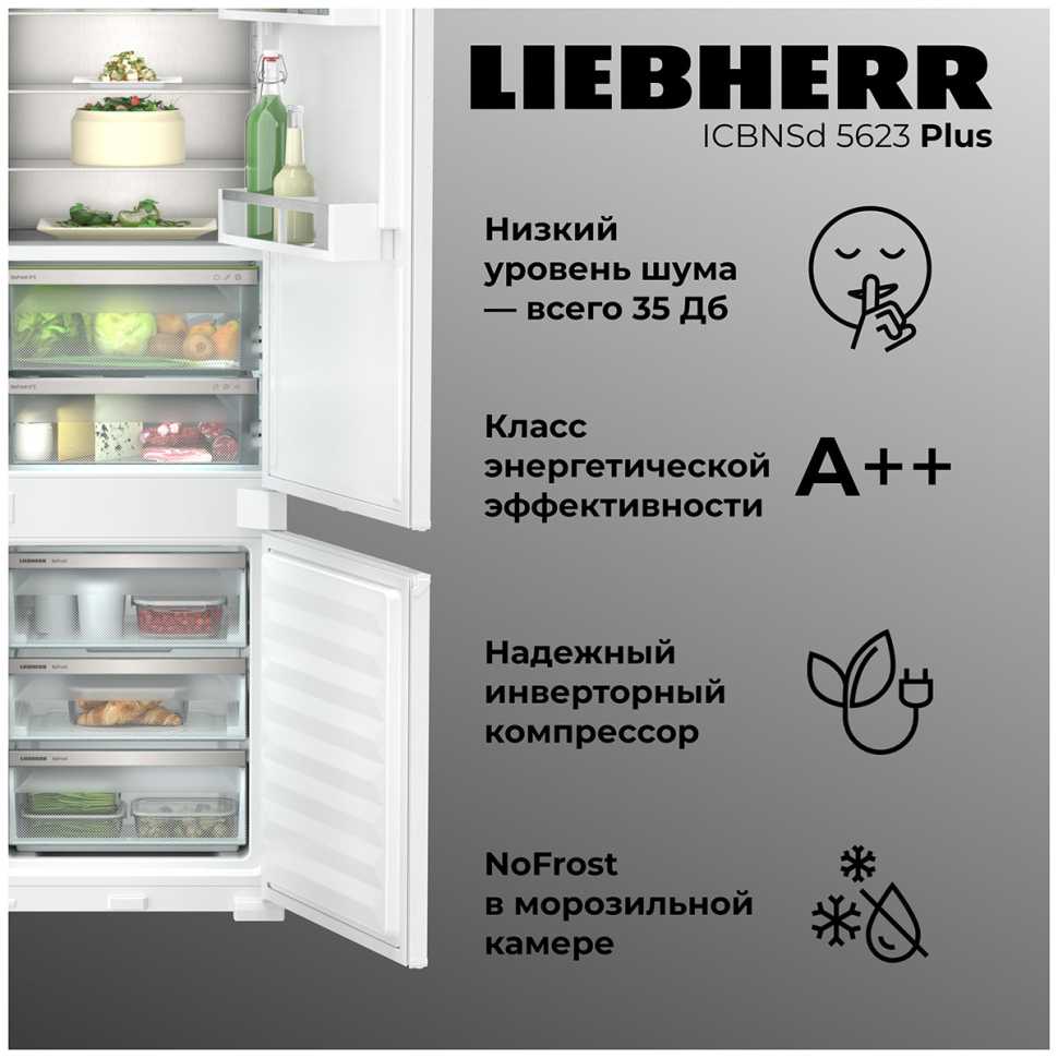 Встраиваемый двухкамерный холодильник Liebherr ICBNSd 5623-20 001 BioFresh NoFrost XL