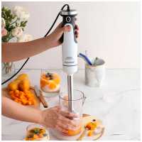 Погружной блендер Morphy Richards MR6006W белый