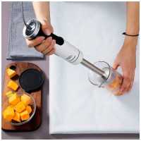 Погружной блендер Morphy Richards MR6006W белый