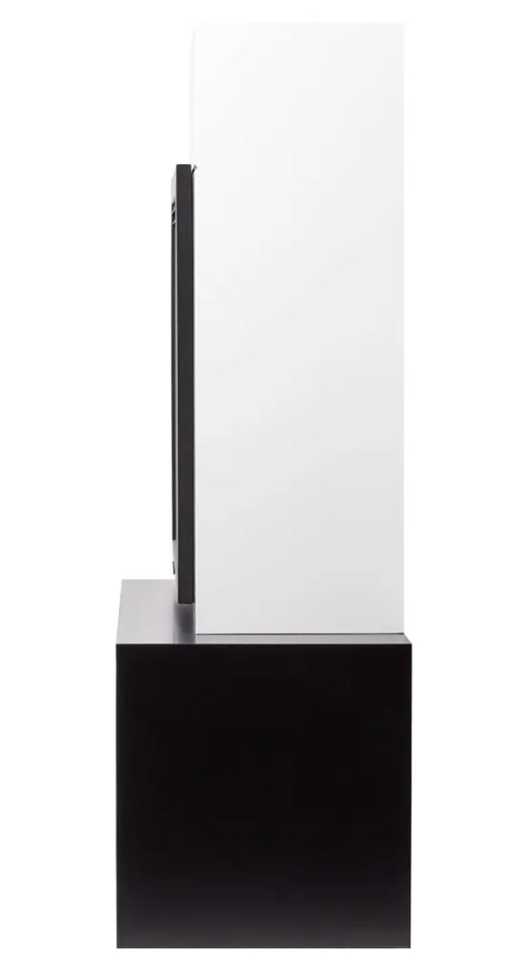 Камин Firelight Combi 30, белый, черный (НС-1449419)