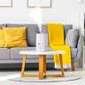 Ультразвуковой увлажнитель Zanussi ZH 2.5 T Unico