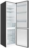 Двухкамерный холодильник Candy CCRN 6200B BLACK