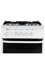 Комбинированная плита De luxe 506040.01гэ(кр)