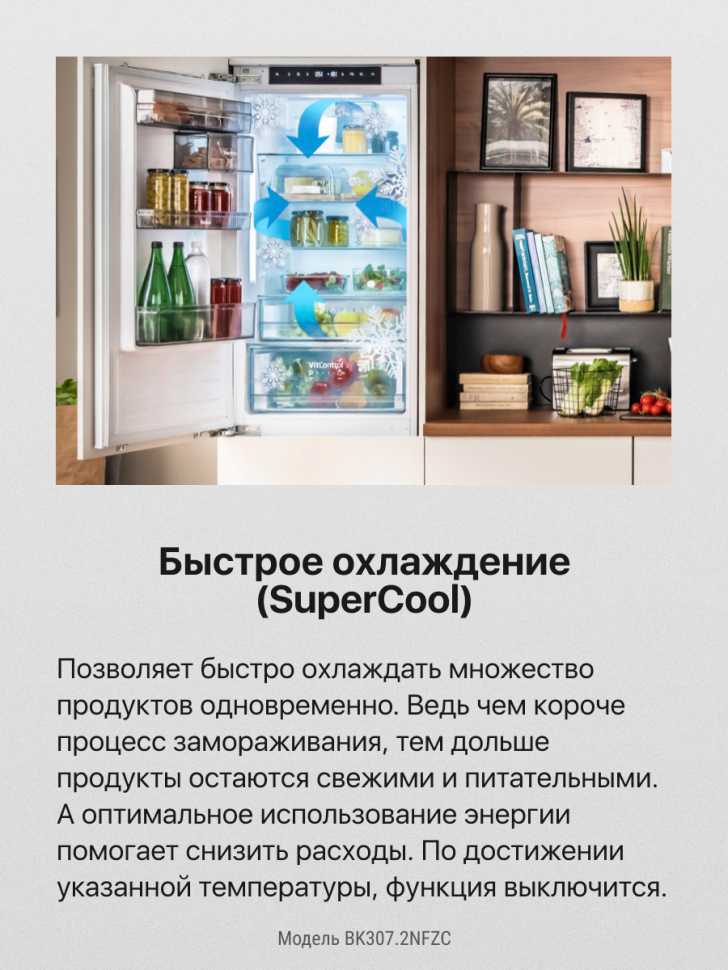 Встраиваемый двухкамерный холодильник Hansa BK307.2NFZC
