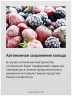 Встраиваемый двухкамерный холодильник Hansa BK347.3NF