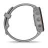 Умные часы Garmin Forerunner 255S со светло-серым ремешком