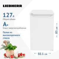 Однокамерный холодильник Liebherr T 1404-21