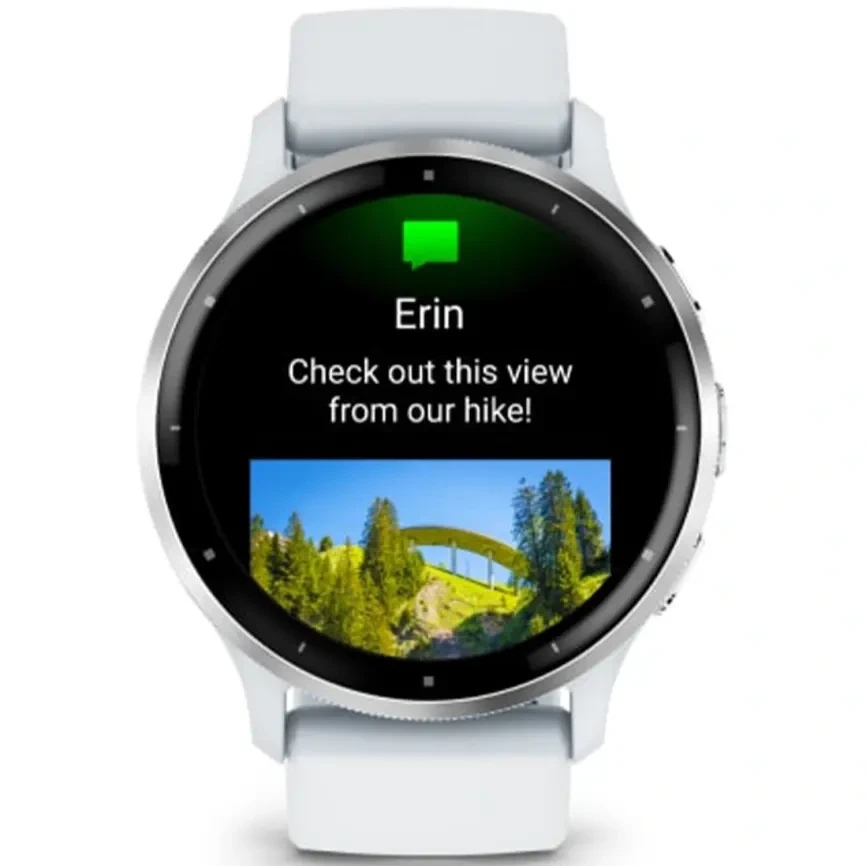 Умные часы Garmin Venu 3  45mm Silver