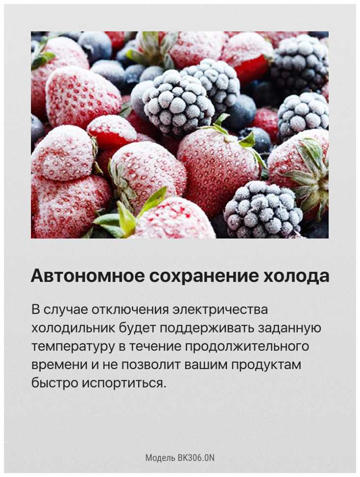 Встраиваемый двухкамерный холодильник Hansa BK306.0N