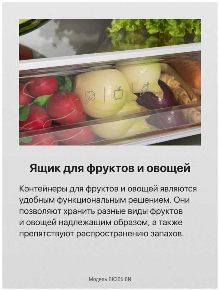 Встраиваемый двухкамерный холодильник Hansa BK306.0N