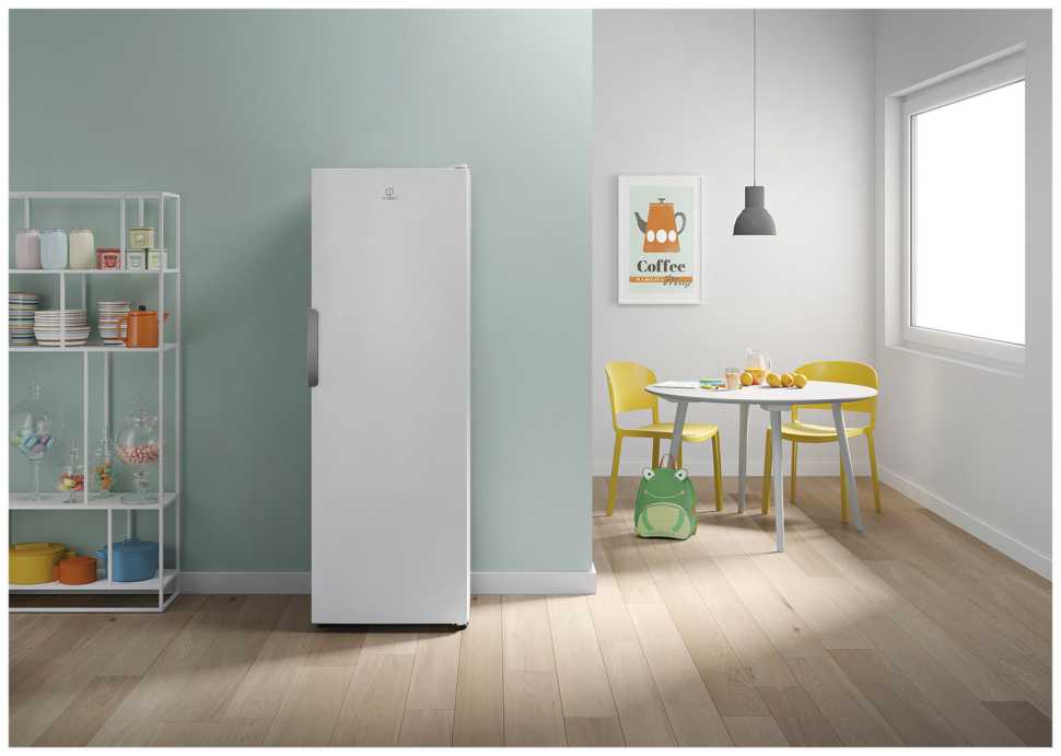 Морозильник Indesit DSZ 5175