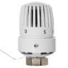 Термоголовка жидкостная Royal Thermo BASIC с выносным датчиком М30х1,5