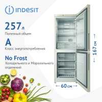 Двухкамерный холодильник Indesit ITR 4160 E